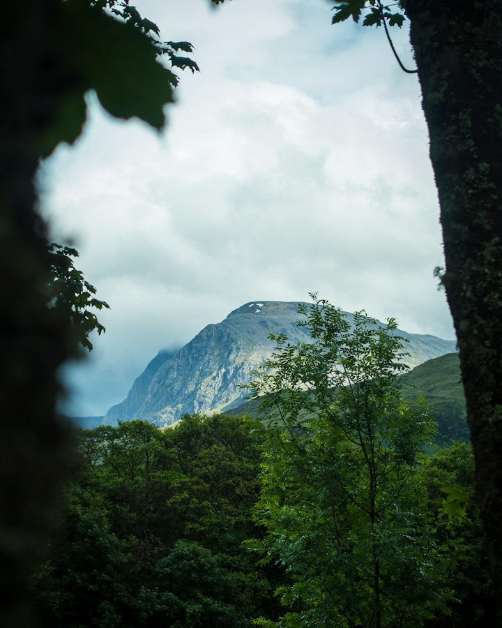 Ben Nevis seen through the trees
